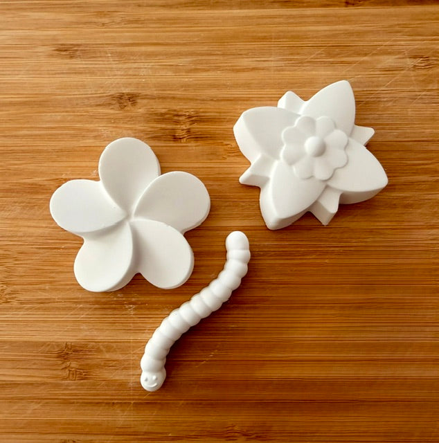 Flowers & Worm Paint Kit